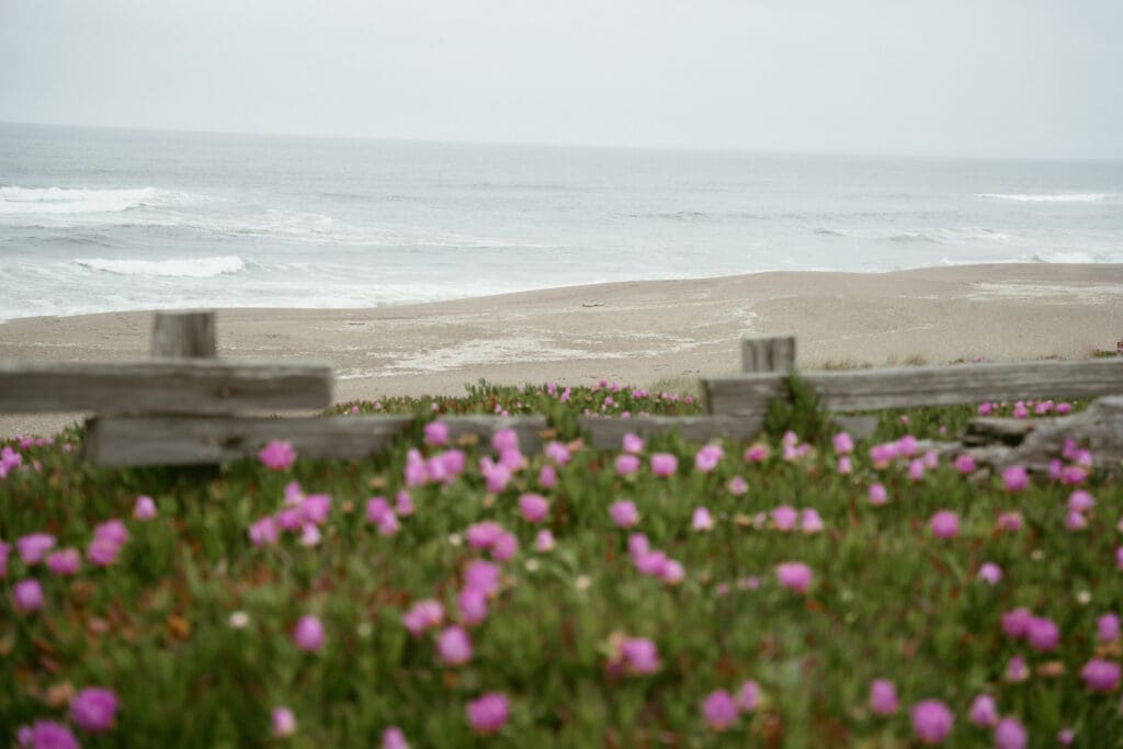 Dsc07770